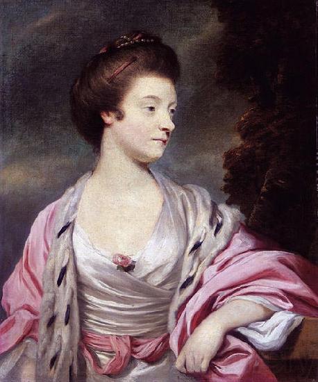 Sir Joshua Reynolds Elizabeth, Lady Amherst